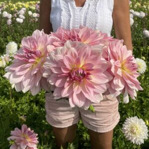 Jurginas 'Fairway Pilot' 1vnt.